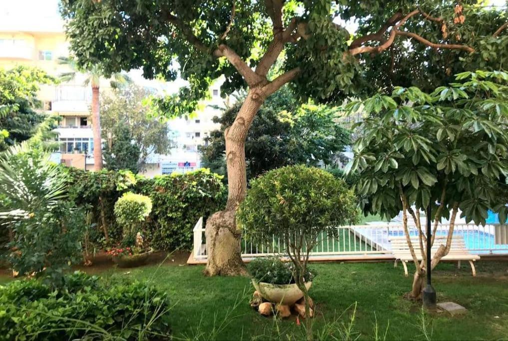 Central Beach Apartment With Free Parking And Pool Μαρμπέλλα Εξωτερικό φωτογραφία